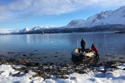 2018 NORVEGE